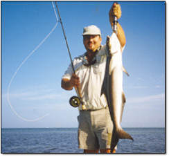 Cobia Caught on Fly Key West