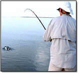 Double Grand Slam Tarpon 1