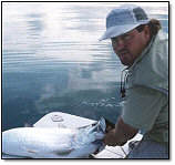 Double Grand Slam Tarpon 2