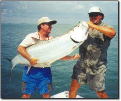 Tarpon Caught on Fly in the Key West Backcountry