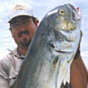 Flyfishing Jack Crevalle Key West